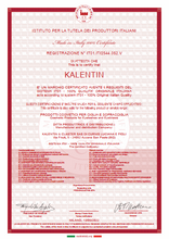 Carregar imagem no visualizador da galeria, Ativador Oxidant Cream Vegan 3%