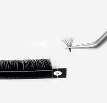 Carregar imagem no visualizador da galeria, Box Extensão de Pestanas CC 0.05mm Blooming 9,10,11mm